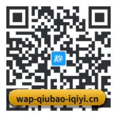 系统版 iOS 二维码